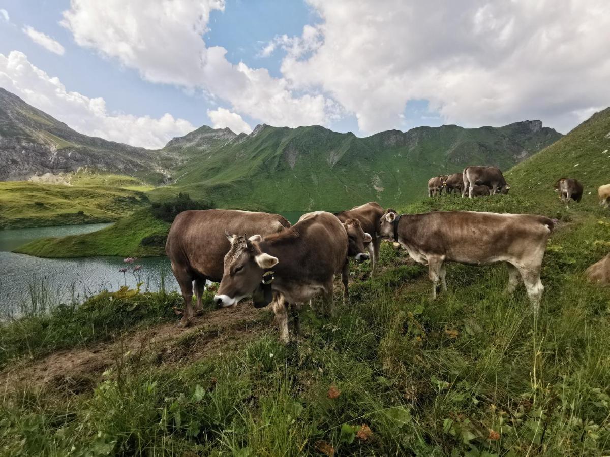 Ferienwohnung Wiesenblick Bad Hindelang Eksteriør billede